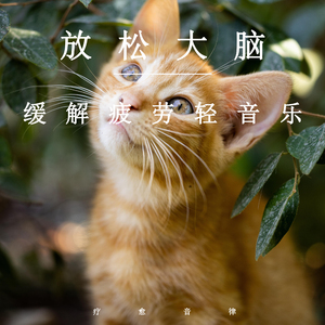 国产麻豆视频观看
