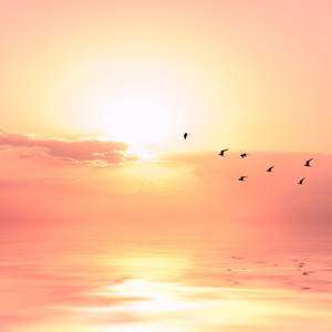 国产麻豆视频观看
